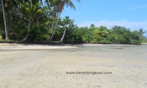 tanah pantai untuk dijual di langkawi - Pulau Tuba 